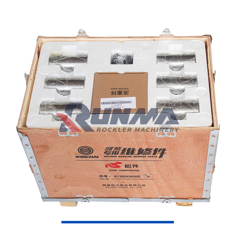 RE2084R潍柴斯太尔国二五配套612600900072A (9)