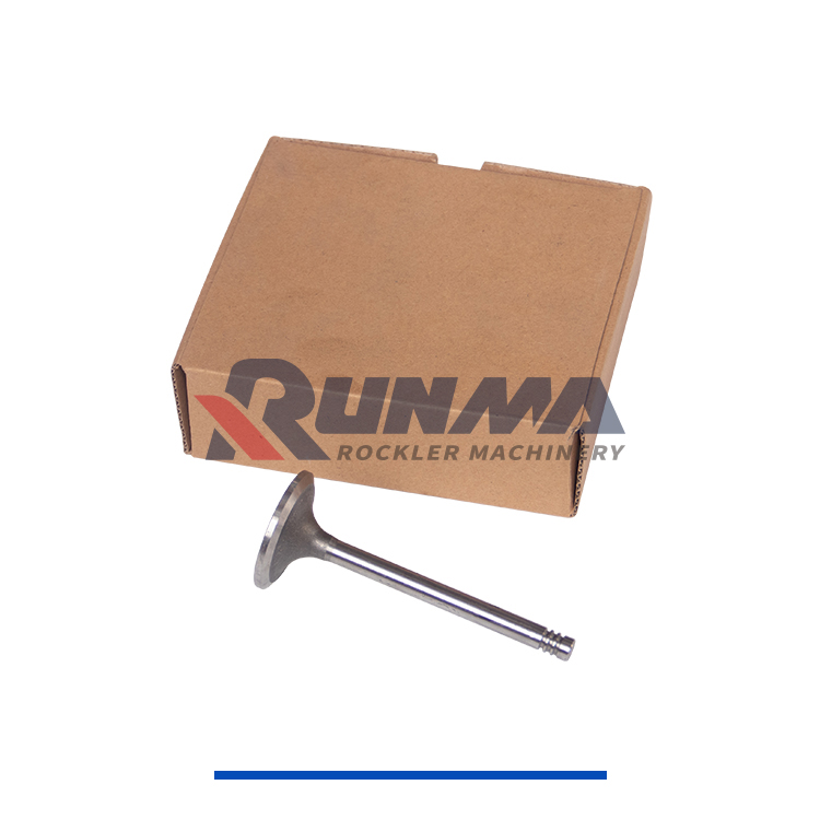 RE3100R道依茨进气门12159608 (2)