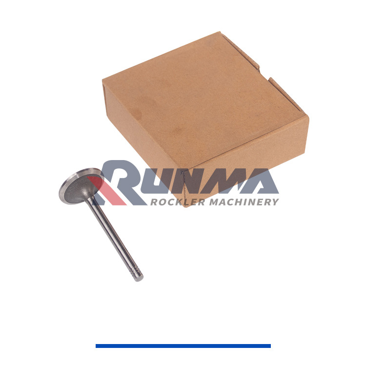 RE3100R道依茨进气门12159608 (3)