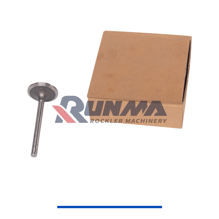 RE3100R道依茨进气门12159608 (4)