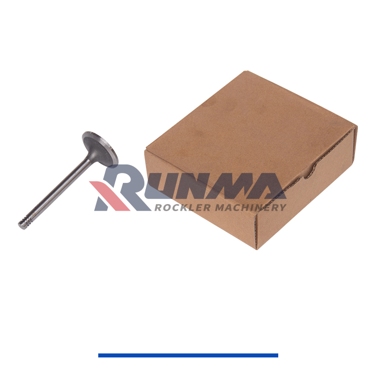 RE3100R道依茨进气门12159608 (5)