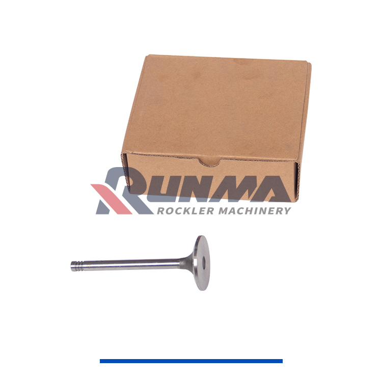 TBD226B Intake Valve RE3100R
