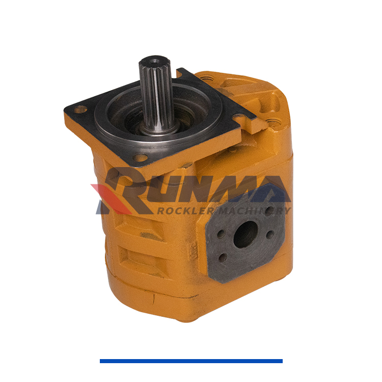 柳工11C0055泵 (3)