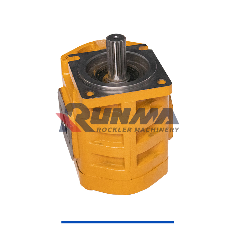 柳工11C0055泵 (4)