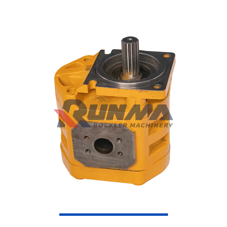 柳工11C0055泵 (5)