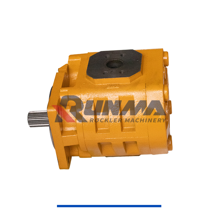 柳工11C0055泵 (6)