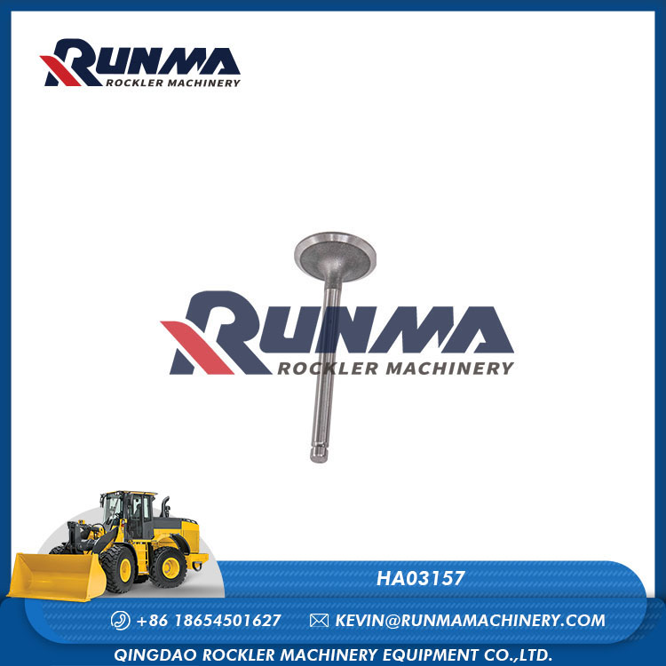 RE7139R云内38进气门 (3)